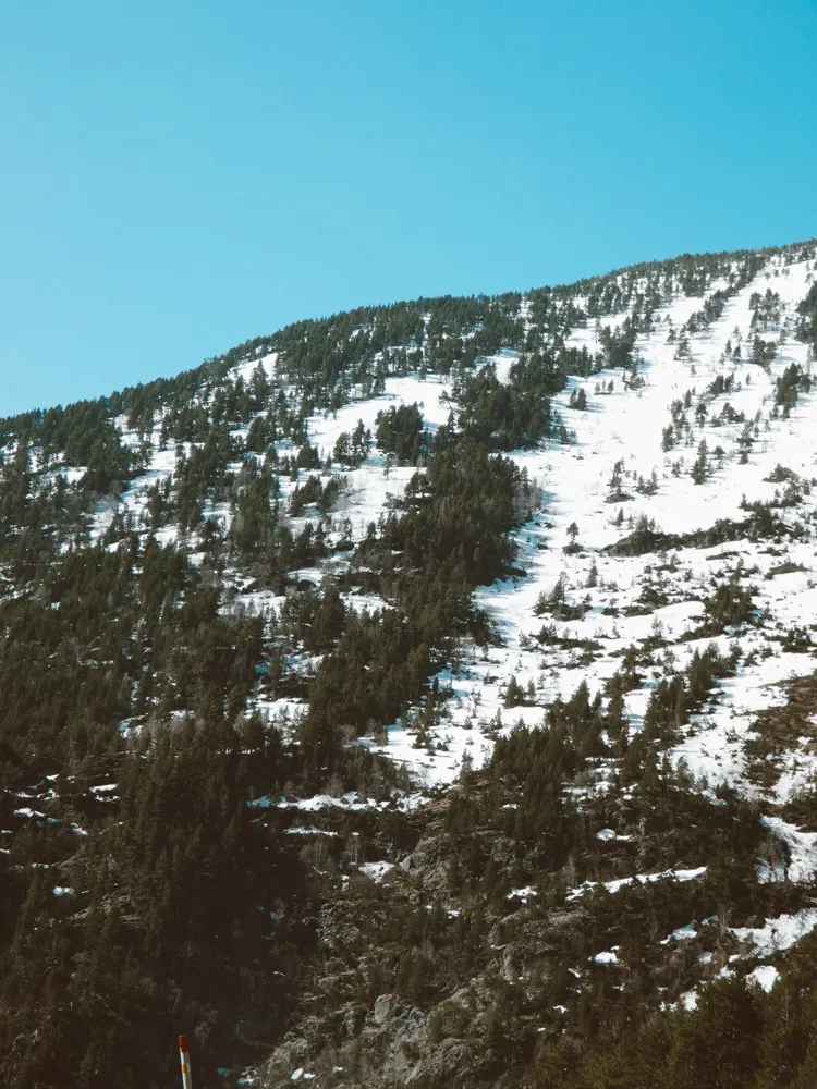 Paisaje de montaña y naturaleza