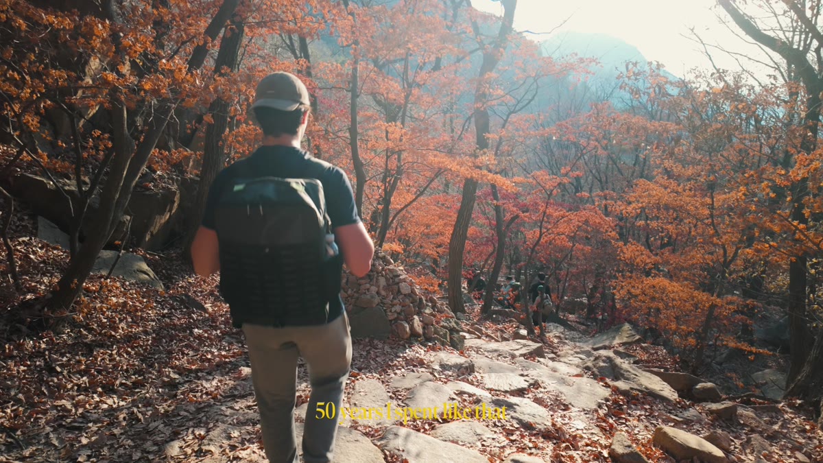 Una persona recorre un sendero entre árboles